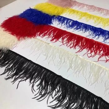 Feather Fringes & Trims